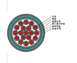 FS-KVVP2（防鼠、防白蟻型屏蔽控制電纜）